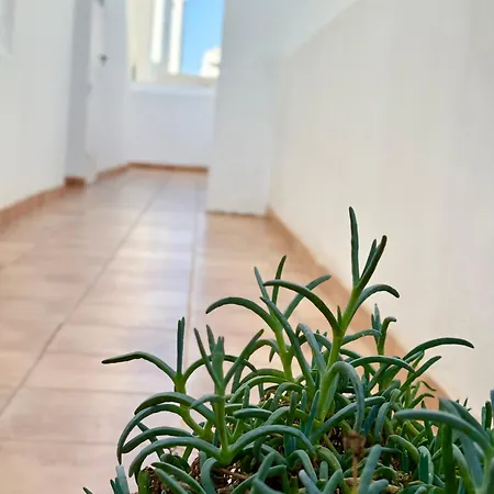 Апартаменты Red Плайя-Онда