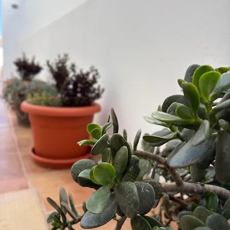 Red דירה פלאיה הונדה