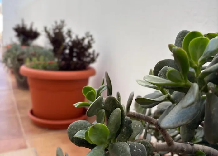 Red Lejlighed Playa Honda (Lanzarote)