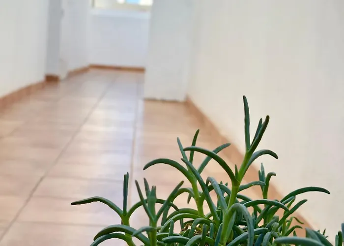 Apartamento Red Playa Honda (Lanzarote)